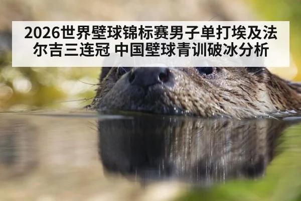 2026世界壁球锦标赛男子单打埃及法尔吉三连冠 中国壁球青训破冰分析